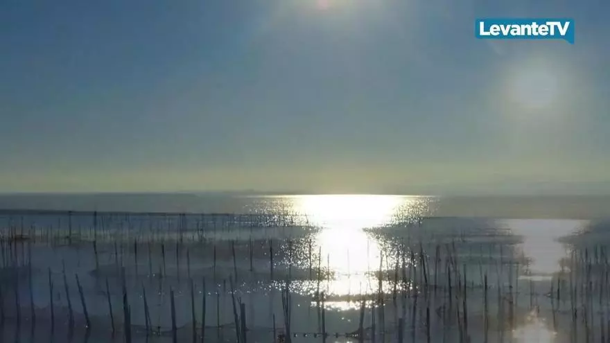 L’Albufera afronta el debate sobre su futuro ante la salinización y el deterioro del agua