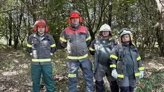 Cortafuegos de carne y hueso en los montes de Galicia: "Podemos evitar incendios abriendo pistas y eliminando matorral"