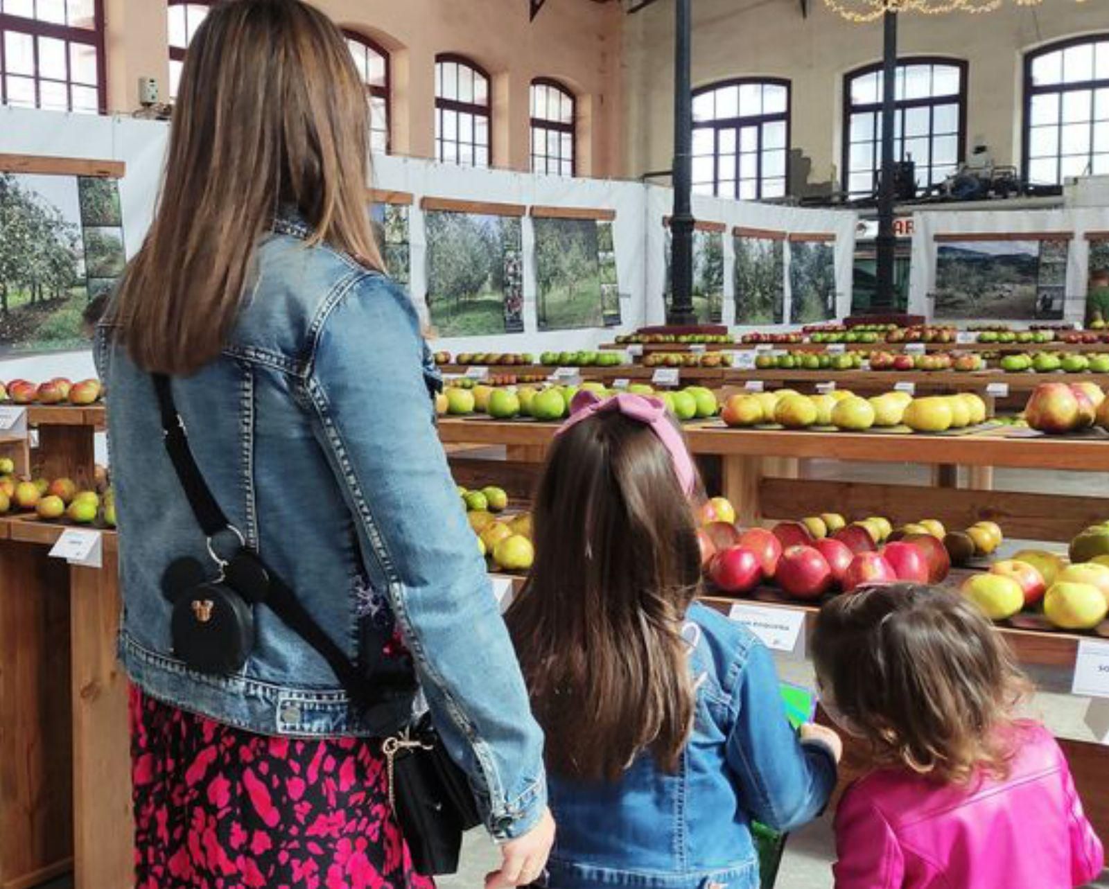 Manzanas expuestas en una edición anterior de su festival .