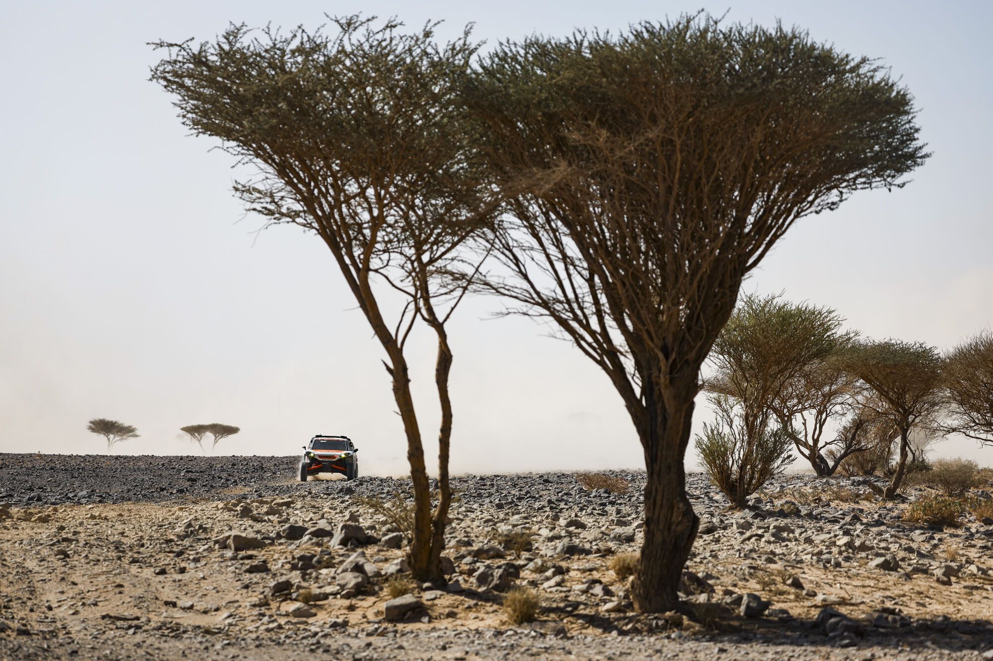 Etapa 9 del Rally Dakar 2026, en imágenes