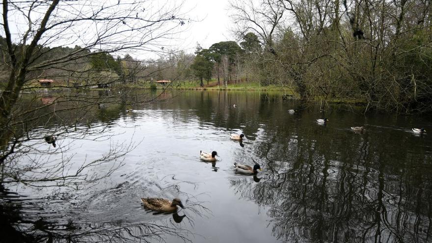 El plan familiar perfecto para estos días: un parque natural lleno de animales, tirolinas y paseos a solo media hora de Vigo
