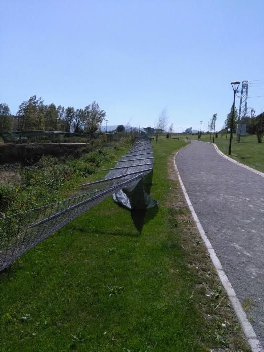 Temporal de viento en Gijón