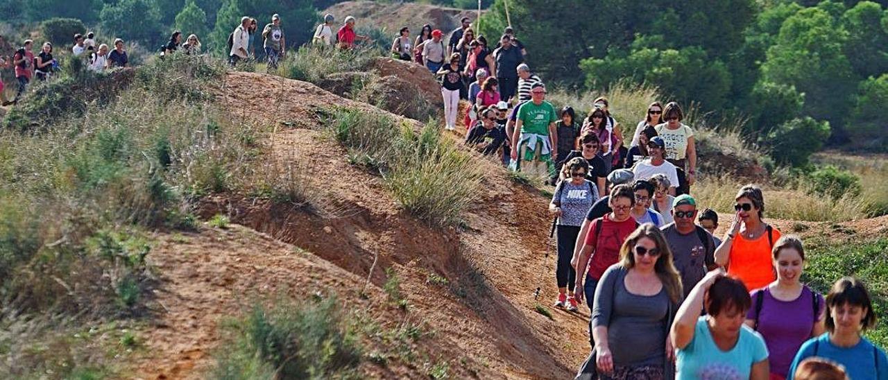 El Consell rechaza ampliar el Parc del Turia con los lindes urbanos de les Moles