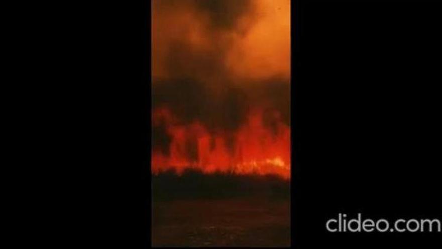 La10Picos se solidariza con los afectados por el incendio del Parque Natural de Espadán