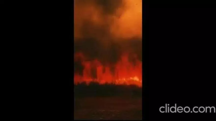 La10Picos se solidariza con los afectados por el incendio del Parque Natural de Espadán