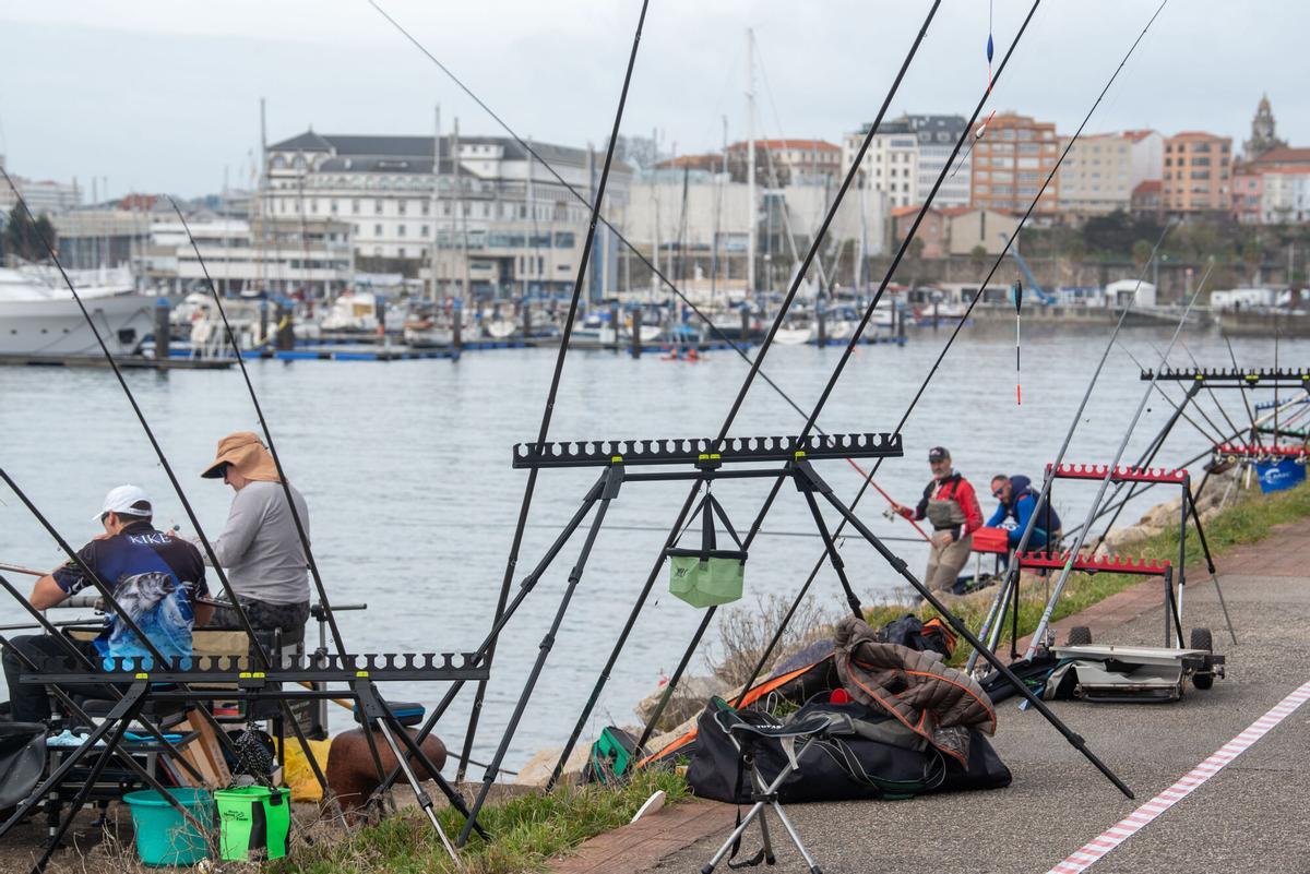 MASTER PESCA DIQUE DE ABRGO