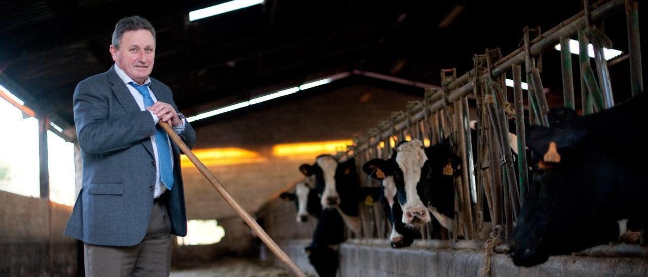 Ramón Artime, frente a sus vacas.