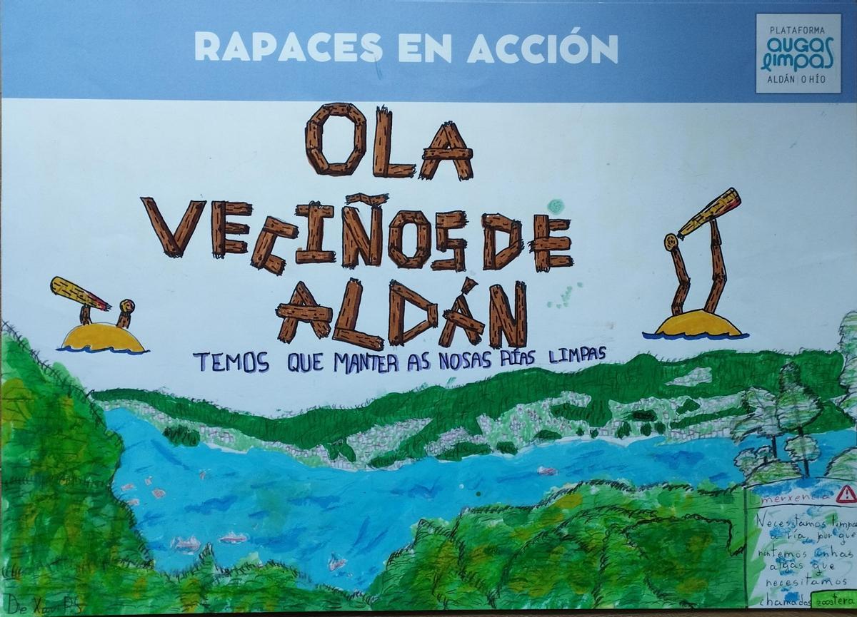 "Rapaces en acción", con los colegios de Aldán y O Hío para salvar la ría "Rapaces en acción", con los colegios de Aldán y O Hío para salvar la ría