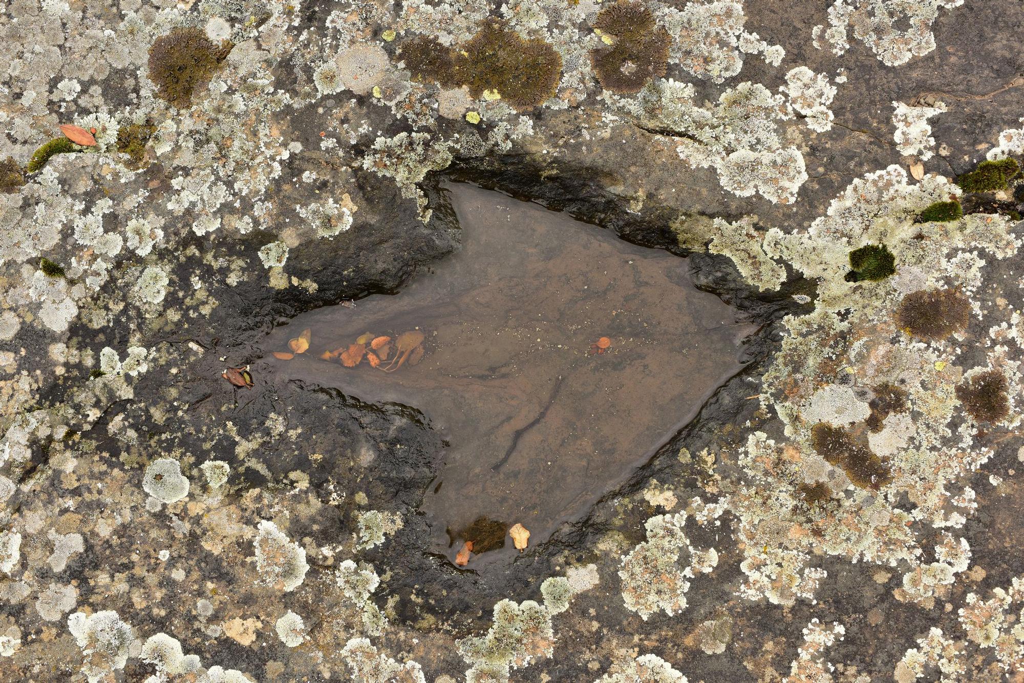 Una de las huellas de dinosaurio, en La Rioja