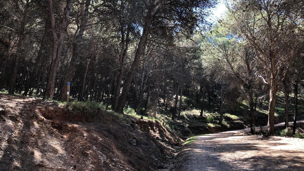 Camino Forestal Alhaurín el Grande.