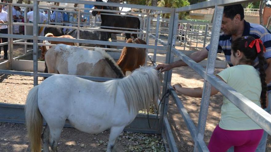 Los asistentes, en contacto con los animales.