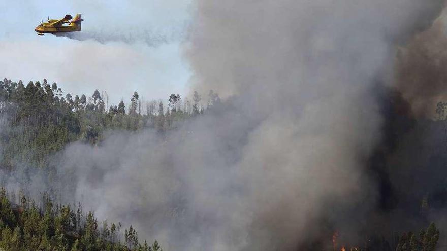 Un avión trabaja en la extinción de un incendio en Abrantes.