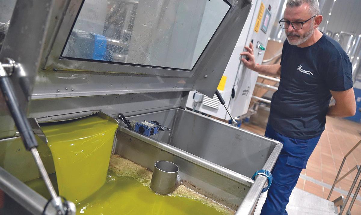 Almazara. Extracción de aceite de oliva en una cooperativa olivarera situada en Lucena.