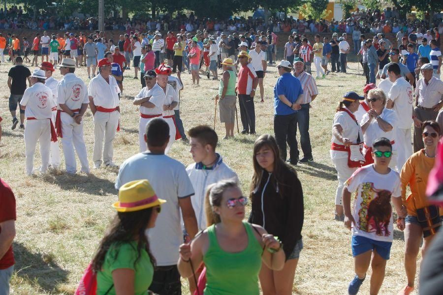 Fiestas en Zamora: Segudos espantes de Fuentesaúco