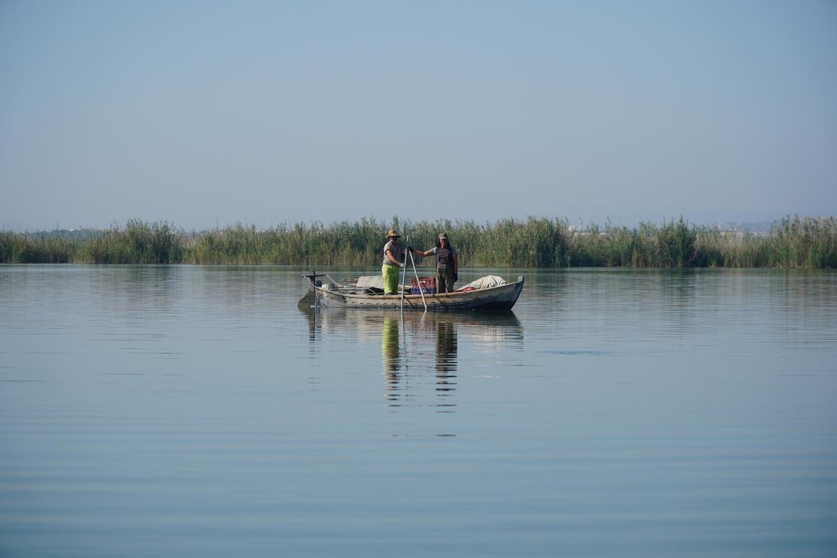 Imagen de l'Albufera