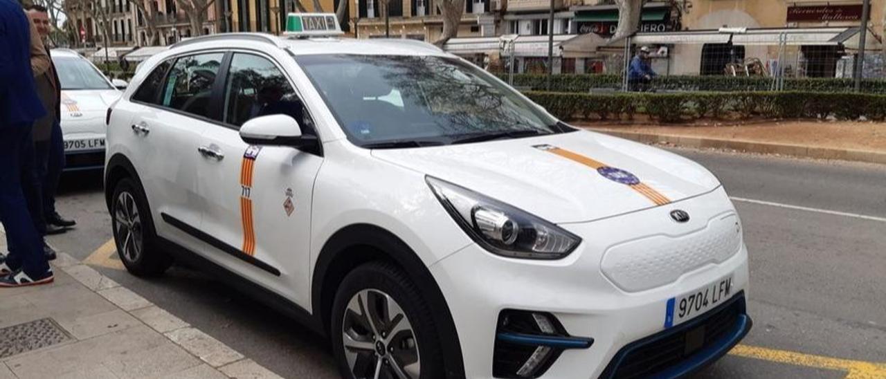 ENCUESTA |  ¿Estás de acuerdo con la propuesta de unificar el servicio de taxi en Mallorca?