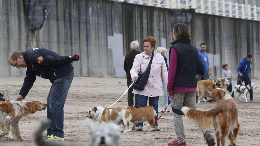 Concentración de perros y dueños el pasado mes de septiembre en la playa de Salinas para pedir el libre acceso de los canes a los arenales.
