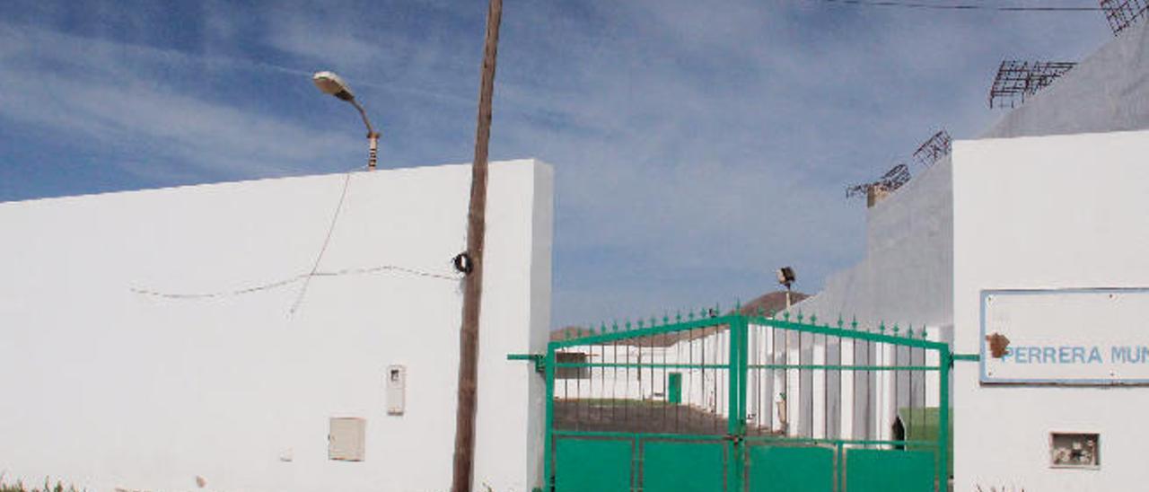 El Seprona investiga irregularidades  en la perrera municipal de Arrecife