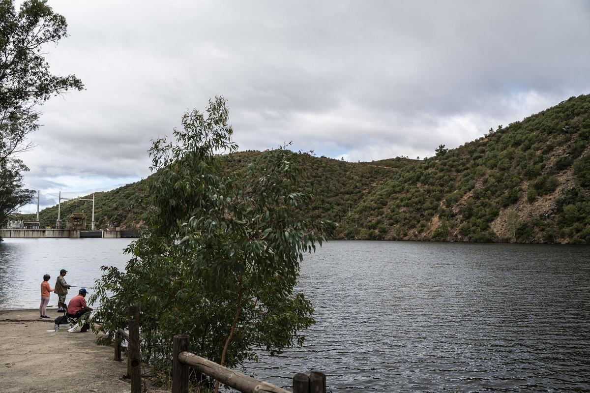 Galería | El peaje ambiental del puente de Cedillo