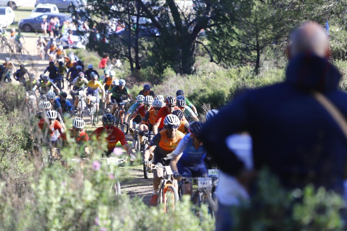 Un grupo de ciclistas, durante la MTB Maratón Guzmán El Bueno.