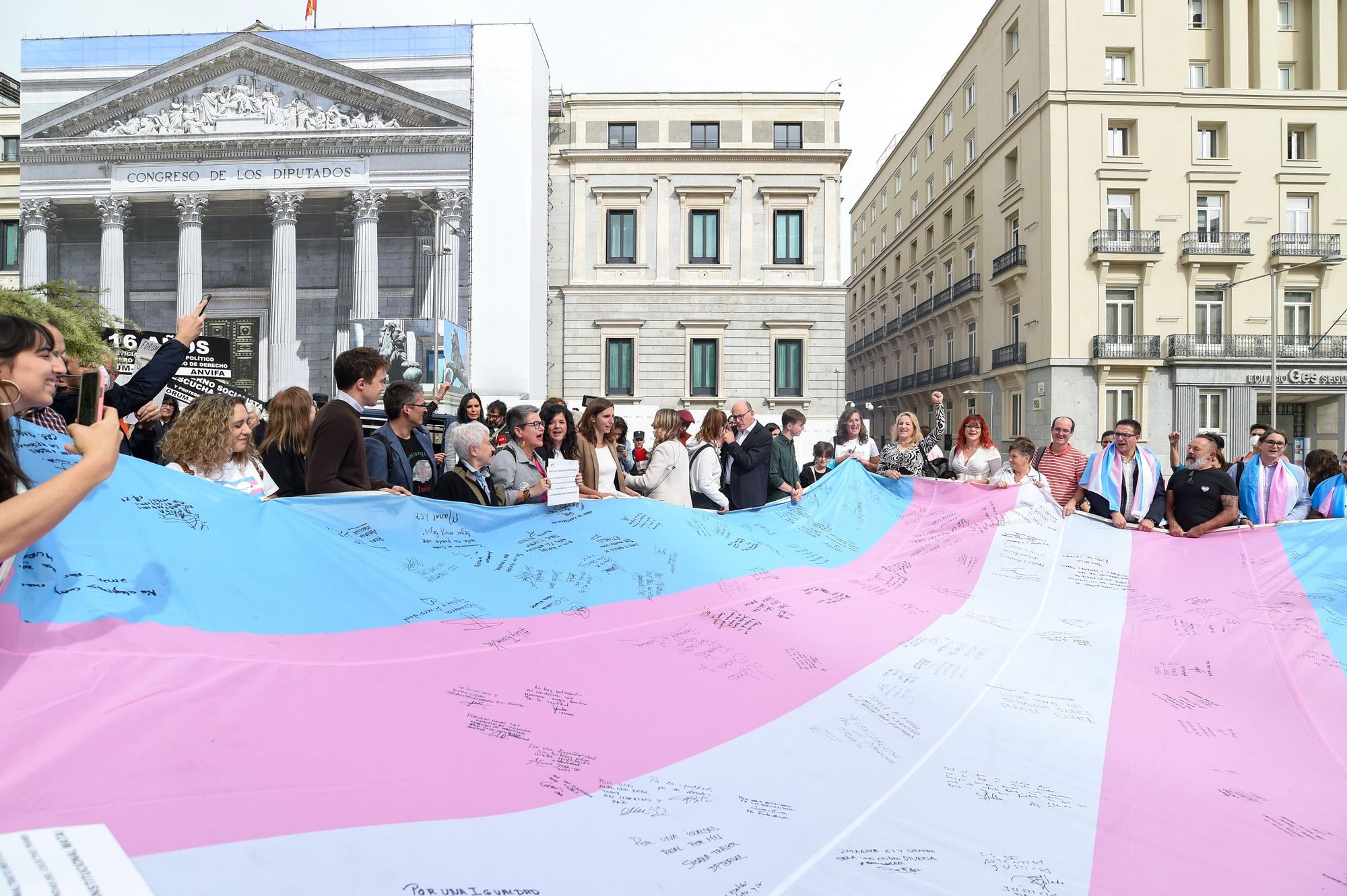 Varias personas sostienen la bandera trans