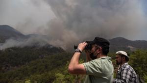 Les imatges dels incendis al Mediterrani