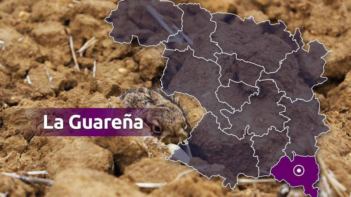 La Guareña.