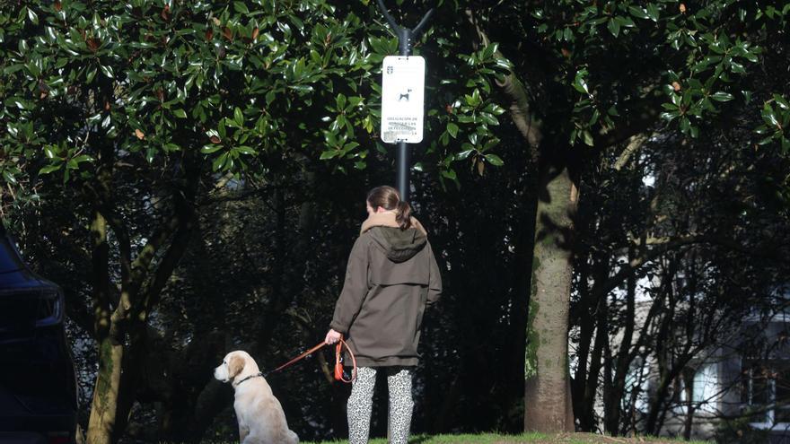 Precaución en el parque de Santa Margarita por el regreso de la procesionaria