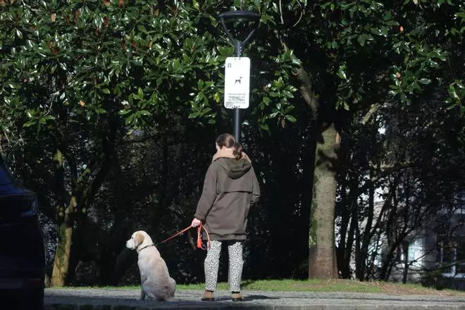 Precaución en el parque de Santa Margarita por el regreso de la procesionaria