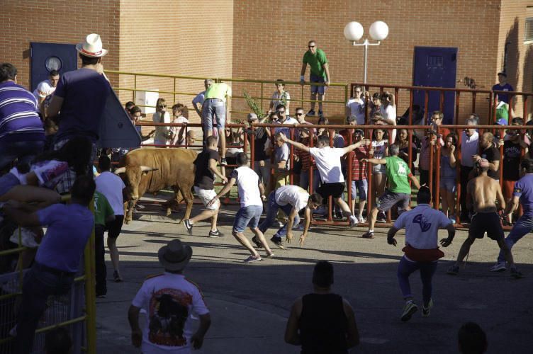 Fiestas de Santa Cristina de la Polvorosa 2017