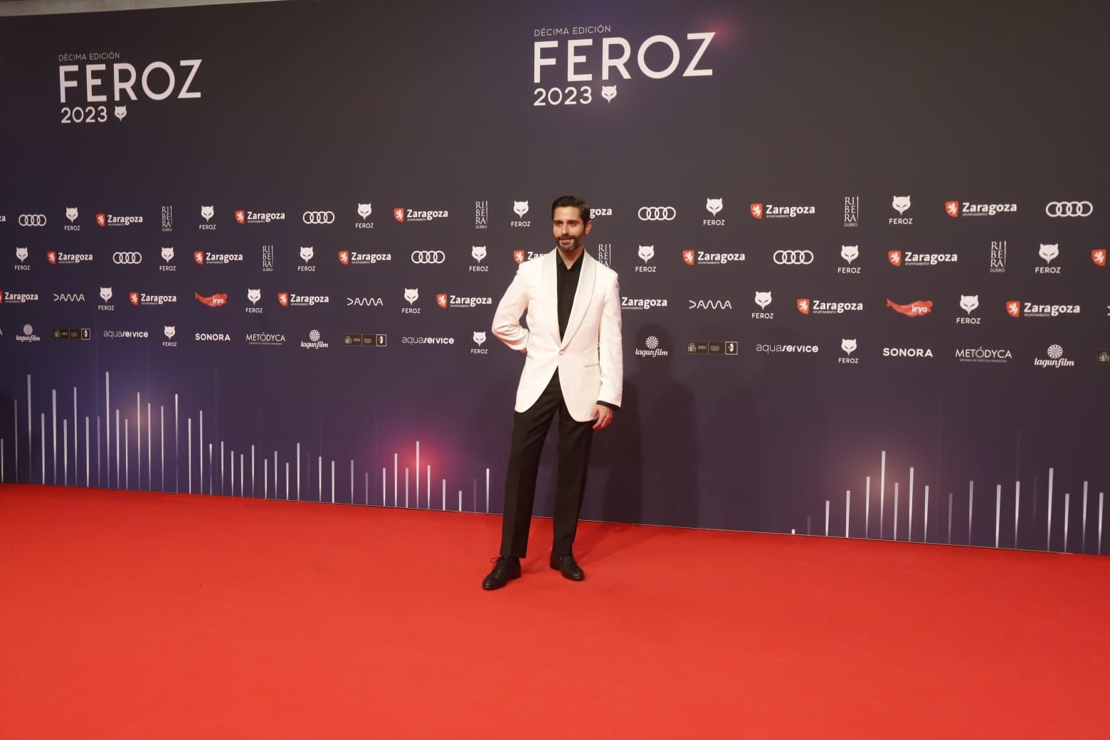 Alfombra roja de los premios Feroz