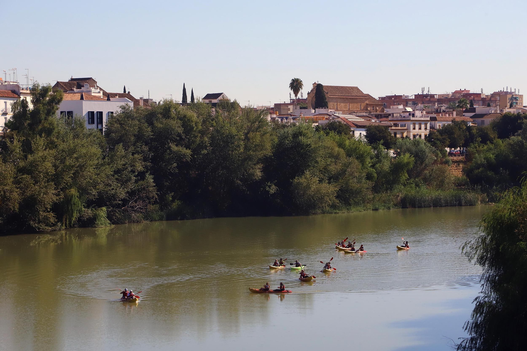 Paseos en kayak por el róio Guadalquivir