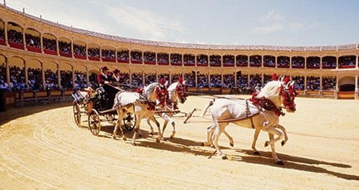 Concurso de Enganches que se celebra con motivo de la Feria Pedro Romero en Ronda.Comarca Serranía de Ronda