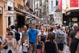 El Ayuntamiento de Palma moderniza el padrón de habitantes: más automatización, control de ciudadanos extranjeros y análisis de datos a la carta