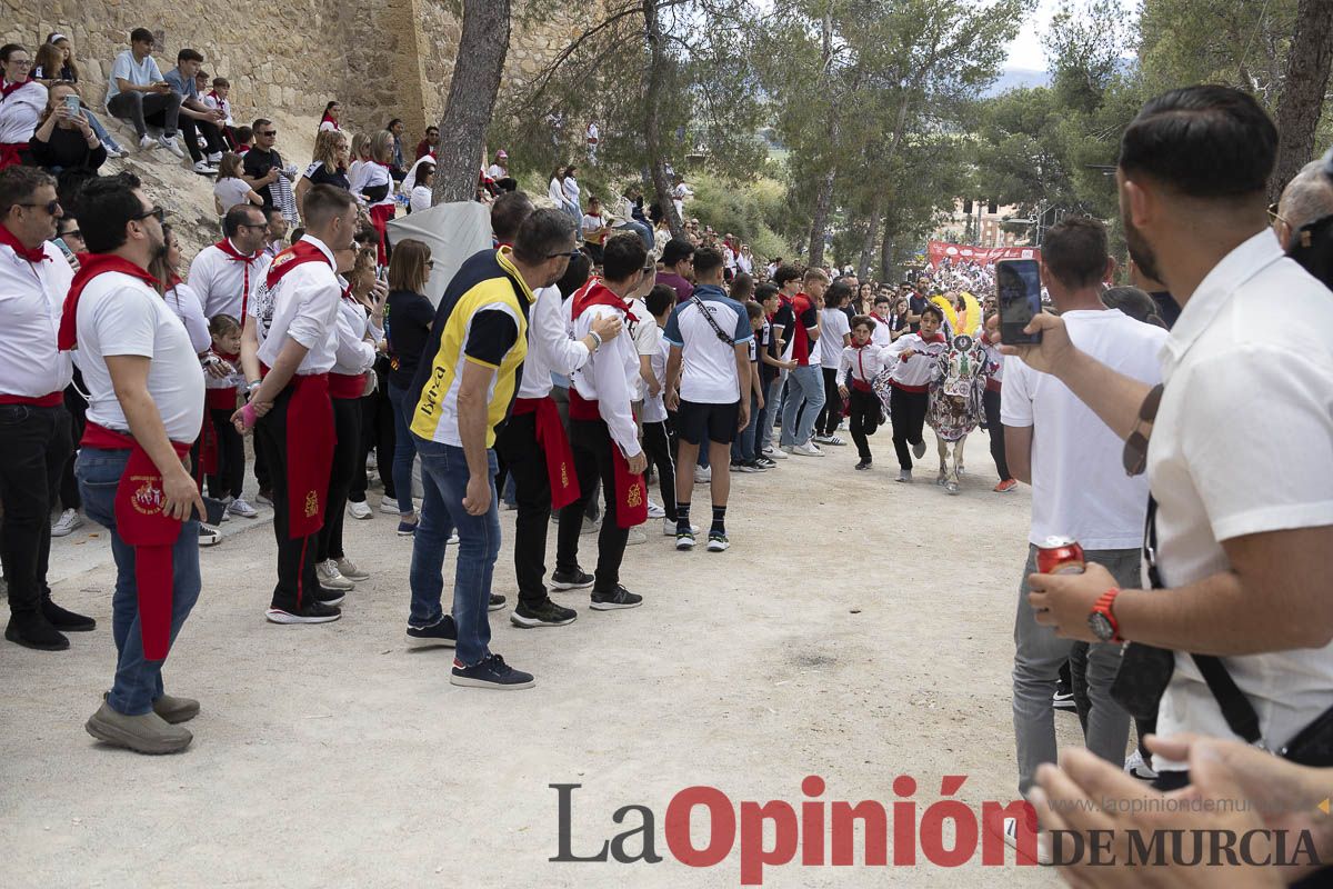 Fiestas de Caravaca | Desfile infantil del Bando de los Caballos del Vino