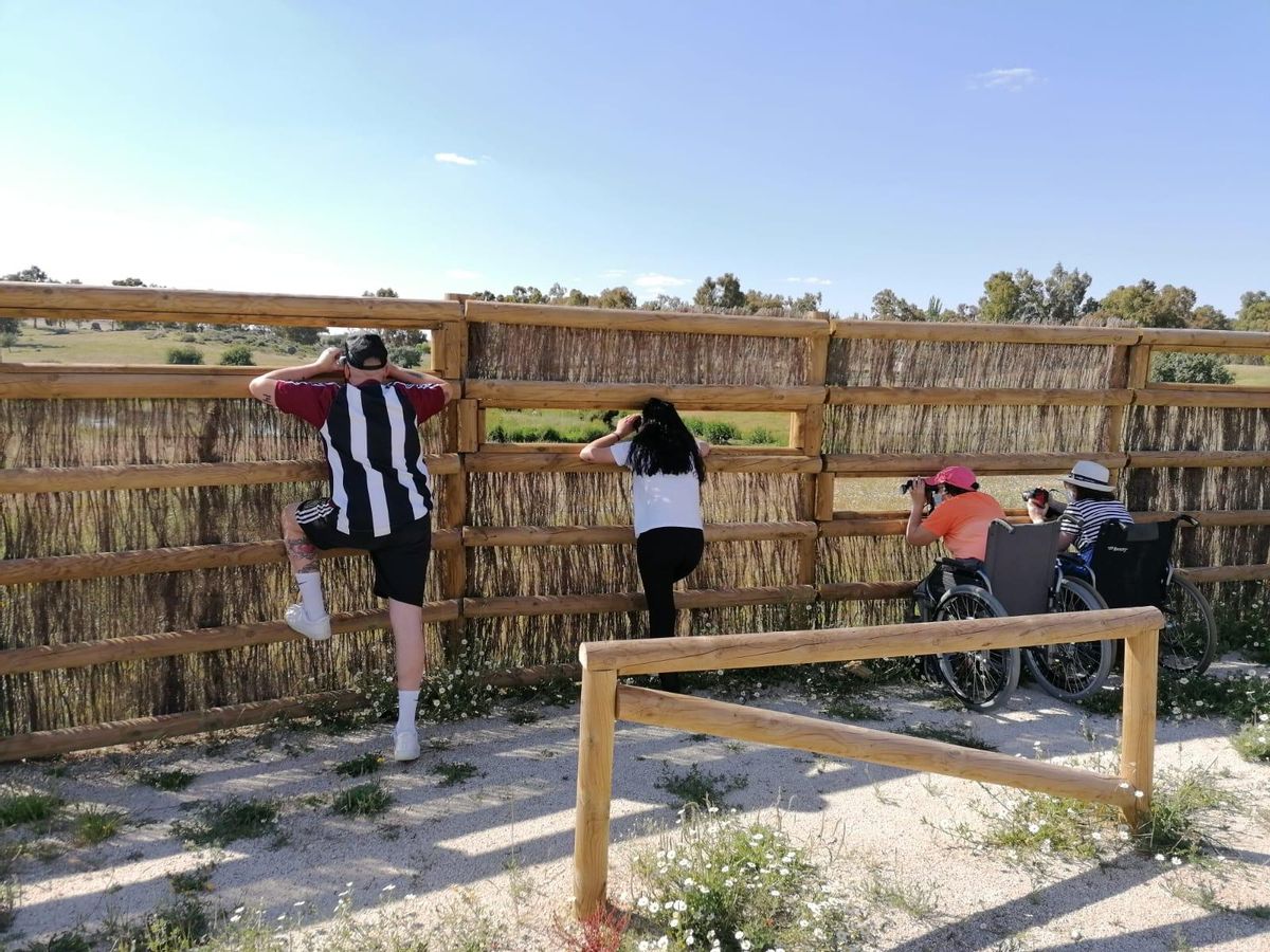 Mirador del humedal.