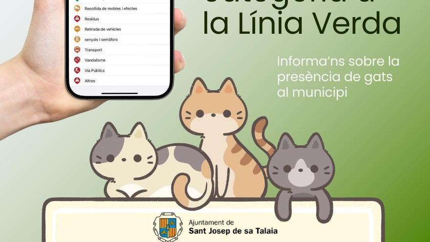 Sant Josep abre una línea verde para informar sobre colonias de gatos