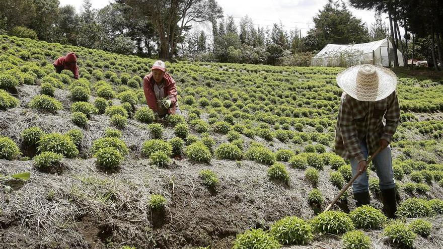 Las ayudas para fertilizantes del Gobierno, una &quot;oportunidad perdida&quot; para una agricultura sostenible