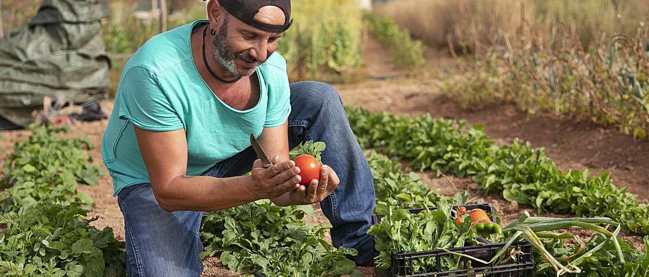 El agricultor ecológico Carlos Fernández en su finca de La Casita, en Llanos de la Concepción.