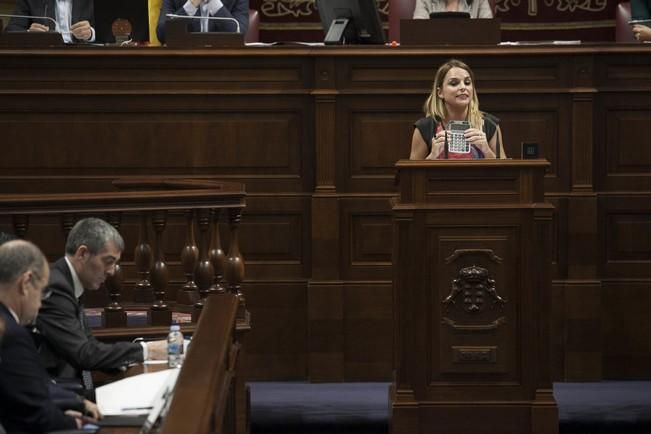 19/01/2017.CANARIAS.Pleno del Parlamento de Canarias..Fotos: Carsten W. Lauritsen