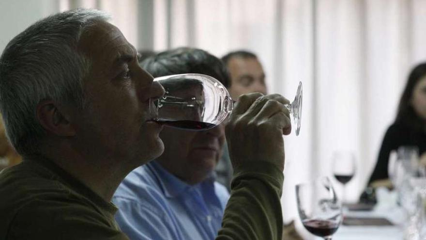 Los vinos de Castilla la Mancha, un sabor por descubrir