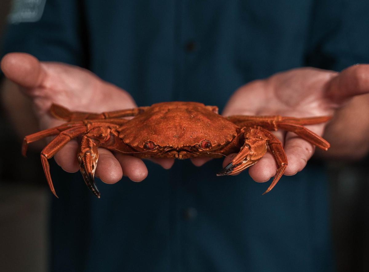 Producto fresco del Aperitivo Bar