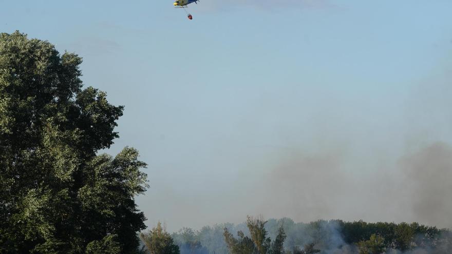 Controlado el incendio en el &quot;Plantío viejo&quot; de Villaralbo