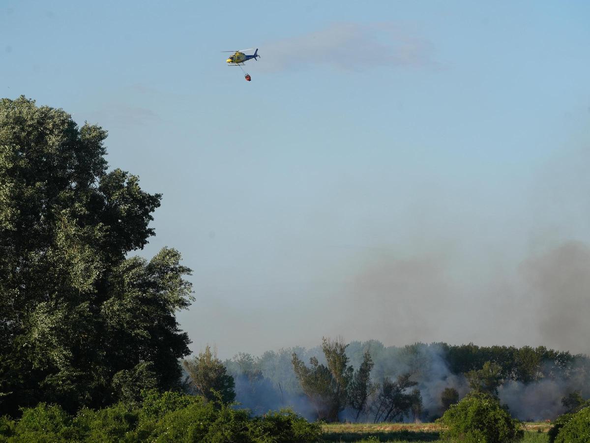 GALERÍA | Incendio en el "Plantío viejo" de Villaralbo