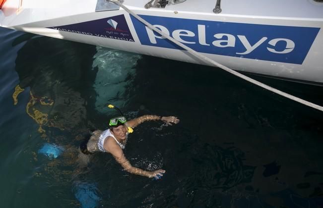 14/11/2016  deporte aventura sanidad  cinco mujeres que han superado el cancer cruzarán el atlántico patrocinadas por  pelayo que han realizado una escala en el muelle de marina de san miguel realizando un entrenamiento en la bahia