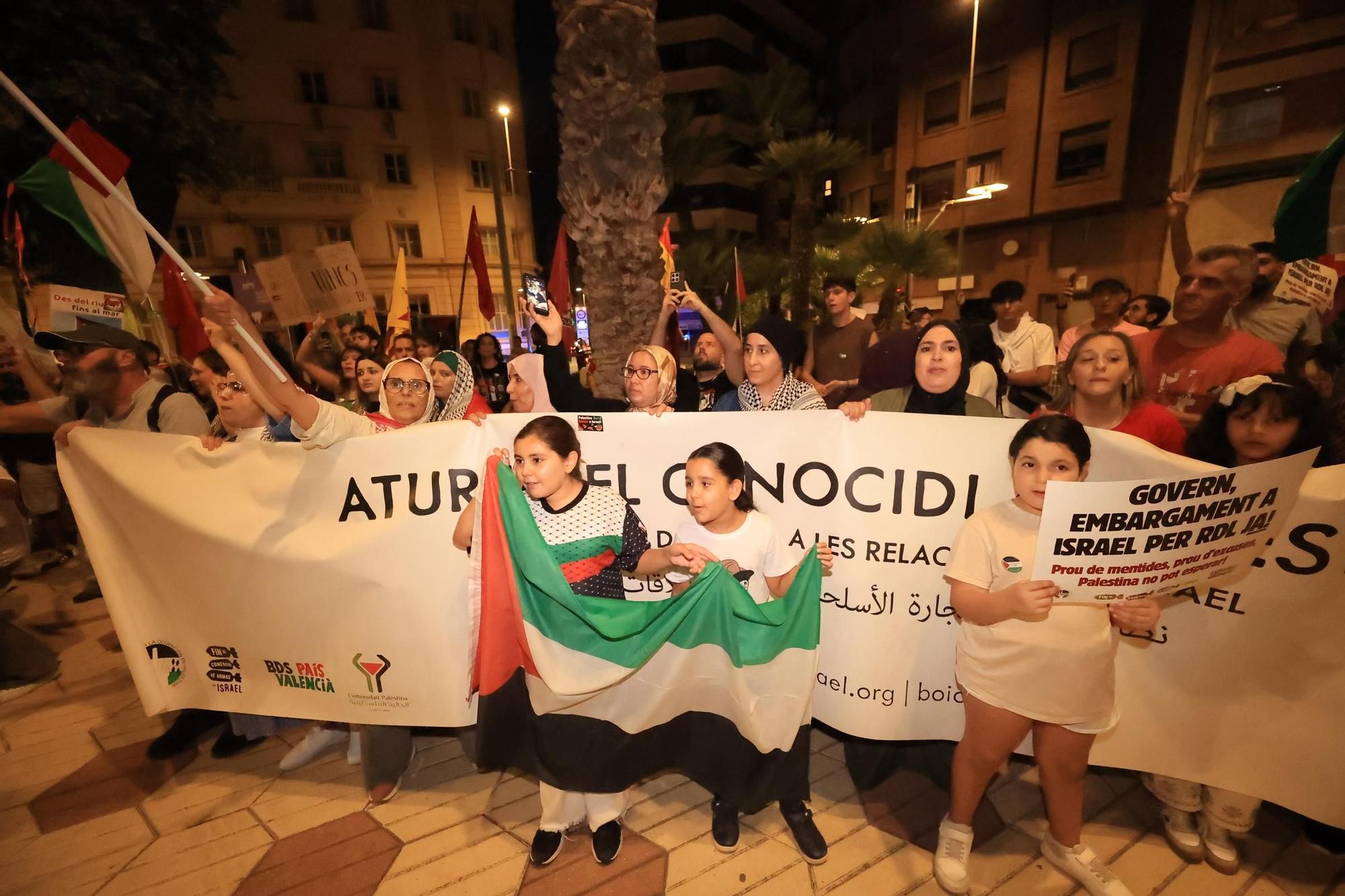 Galería de imágenes: Castellón sale a la calle en defensa de Palestina