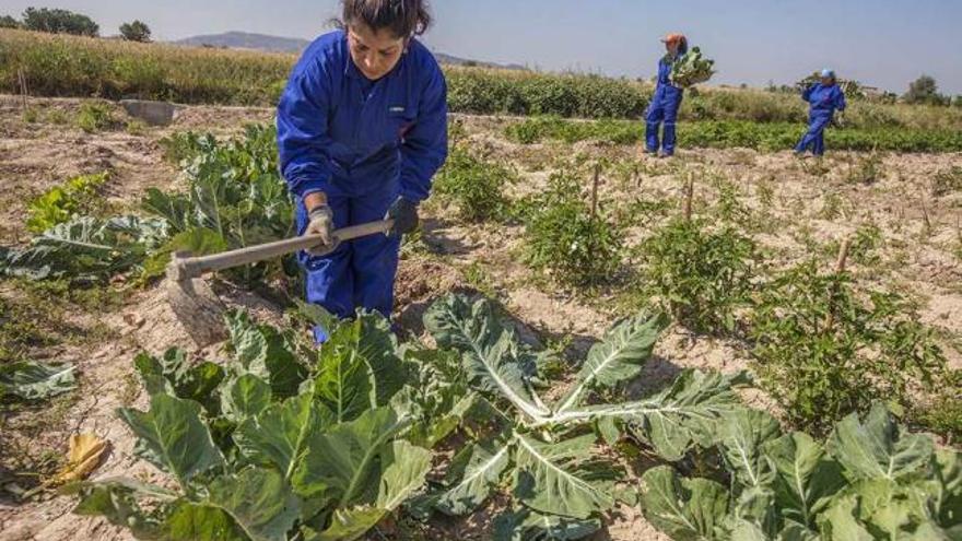 Una apuesta por la igualdad gitana a través del trabajo