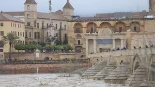 El nivel del Guadalquivir no para de subir y llega ya a los 5,9 metros de crecida a su paso por Córdoba
