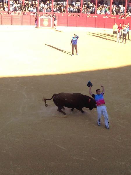 Toro de cajón y encierro urbano en Toro