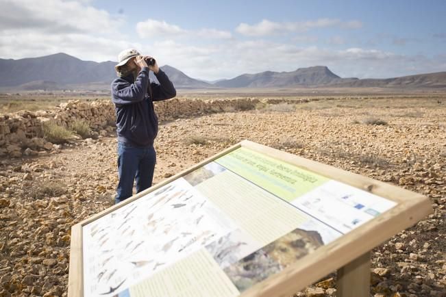 FUERTEVENTURA - El presidente del Cabildo de Fuerteventura, Marcial Morales, y la consejera de Medio Ambiente, Natalia Évora, presentan los paneles interpretativos de la Reserva Ornitológica de la Finca El Jarde, en Antigua - 29-03-16